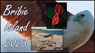 Bribie Island 2023 [upl. by Ylak427]