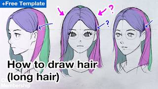 How to draw hair  Free template long straight hair  no bang [upl. by Harbird]