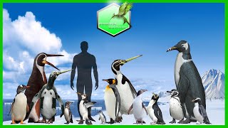 Comparison Size of Penguins [upl. by Aseretairam]