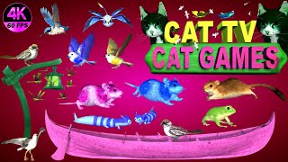 CAT GAMES COMPILATION  BEST CAT GAMES ON SCREEN  CAT ENTERTAINMENT VIDEOS MOUSE amp BIRDS 4K8 HOURS [upl. by Udelle]