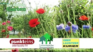 Schönster Garten der Oberlausitz 2017 [upl. by Iphigenia]