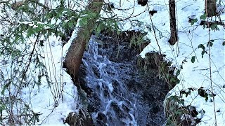 Wassergeräusch Bergbach Fluss Wasserfall zur Entspannung mit Musik [upl. by Currie]