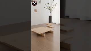 Center Table Design  amarwoodworker interiorwooddesign livingroomfurniture woodedesign [upl. by Dolph]