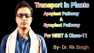 Transport in Plants Apoplast Pathway amp Symplast Pathway For NEET amp Class11 Students [upl. by Idnib488]