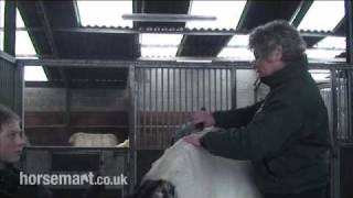 How to hog a horses mane [upl. by Kerk]