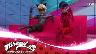 MIRACULOUS  🐞 PRIME QUEEN 🐞  Tales of Ladybug and Cat Noir [upl. by Htiekram350]