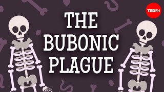 The past present and future of the bubonic plague  Sharon N DeWitte [upl. by Adamina]