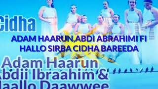 Sirba cidhaa Adam harun Hallo dawwe fi Abdii Abrahim [upl. by Adnorat]