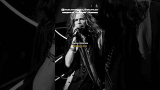 Steven Tyler  More Than Words Extreme  Steven Tyler amp Nuno Bettencourt cover [upl. by Elesig928]