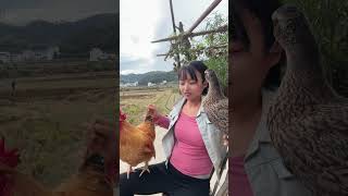 A big rooster that can understand human languageThe big rooster is afraid of the wild duck but [upl. by Chery]