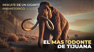 Cronos El mastodonte de Tijuana rescate de un gigante prehistórico [upl. by Acirtap]