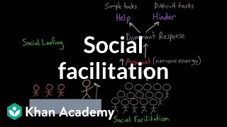 Social facilitation and social loafing  Behavior  MCAT  Khan Academy [upl. by Rachele]