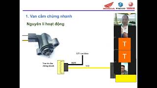 Kỹ thuật chẩn đoán lỗi mạch cầm chừng trên xe Fi  Lỗi garanti trên xe Fi [upl. by Vershen]