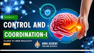 Mastering Control amp Coordination  Class 10 Science CBSE  Annai Academy [upl. by Artenek119]