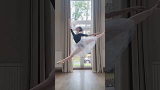 Split sissone ballet leap margaritasdiamante2368 [upl. by Oratnek350]