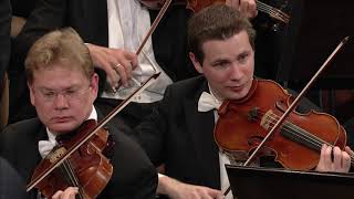 Beethoven Symphony no 5 in C Minor op 67  Christian Thielemann amp Wiener Philharmoniker [upl. by Notwen]