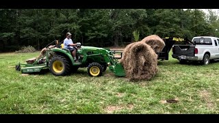 Unloading and Stocking Our New 1200 LB Hay Bales  Arkansas Homesteaders Homestead Hay Cows CFH [upl. by Broderic]