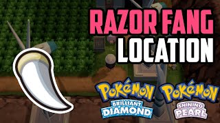 Where to Find Razor Fang  Pokémon Brilliant Diamond amp Shining Pearl All Methods [upl. by Mead]