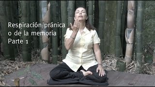 Respiración pránica o de la memoria  Parte 1 [upl. by Kcinimod]