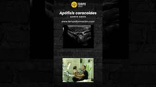 Apofisis coracoides y ecografia con Alberto García ecografia fisioterapia tempoformacion [upl. by Tella]