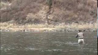 Steelhead Fly fishing the Grande Ronde river in Washington [upl. by Arodasi]