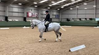 Novice 38 Dressage Test [upl. by Enala]