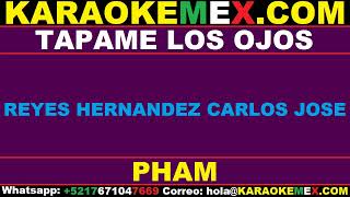 karaoke vicente fernandez  tapame los ojos [upl. by Efinnej728]