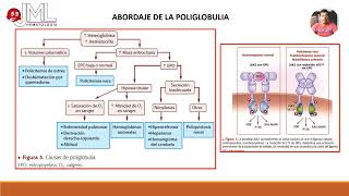 POLIGLOBULIA ABORDAJE [upl. by Nylsor]