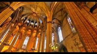 The Cathedral of St Eulalia Spain Barcelona [upl. by Seafowl]