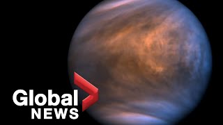 Possible signs of life discovered on Venus [upl. by Carmencita]