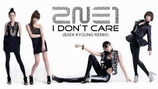 HD 2NE1 I Dont Care Baek Kyoung Remix MP3 [upl. by Enyleve]