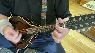 Flat Mandolin amp BARCUS BERRY Contact Pickup amp Roland CUBE20XL BASS  TEST [upl. by Ail]