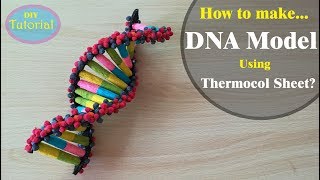 How to Make a DNA model using Thermocol [upl. by Secrest]