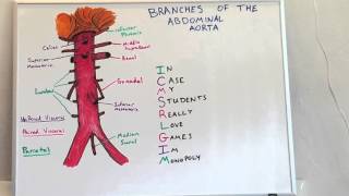 Branches of Abdominal Aorta  Anatomy Lecture for Medical Students  USMLE Step 1 [upl. by Phares467]