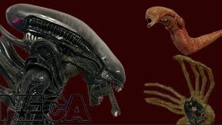 “I repeat all other priorities are rescinded”  Neca Alien Ultimate Edition Big Chap Review [upl. by Oam476]