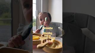 6 Months  Day 4  Steamed ParsnipPuree weaning babyfood babyledweaning weaningjourney blwmenu [upl. by Knute]