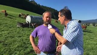 LA PLACE DU VILLAGE Tout sur la quotvillardequot La célèbre race de vaches du Vercors avec Lionel [upl. by Anneh]