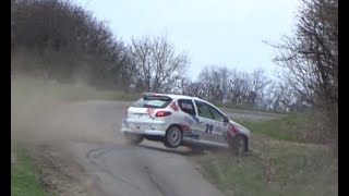 Rallye de la Meuse 2023 crash and show [upl. by Attenna860]