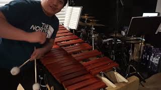 Sonaris 5 Octave Marimba Unboxing Build and Play Test [upl. by Ferdy421]