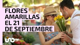 ¿Por qué regalar flores amarillas este 21 de septiembre [upl. by Anis433]