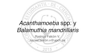 Acanthamoeba spp y Balamuthia mandrillaris [upl. by Warga118]