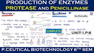 Protease  Penicillinase  Production  Application  u1 P 8  Pharmaceutical biotechnology 6th Sem [upl. by Yenmor692]