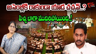 Amaravati Activist Varalakshmi Comments on YS Jagan Press Meet   Tone News [upl. by Alyakcim537]