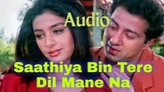 sathiya bin tere dil Mane na hindi movie song Kumar sanu alka yagnik evergreen duet song [upl. by Yrhcaz]