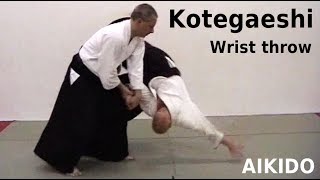 Aikido technique KOTEGAESHI wrist throw by Stefan Stenudd in 2004 [upl. by Adnesor]