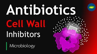 Antibiotics  Cell Wall Inhibitors  Microbiology  Basic Science Series [upl. by Lapo]