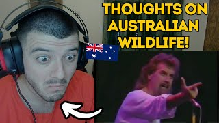 Reaction To Billy Connolly on Australian Wildlife [upl. by Eniamej616]