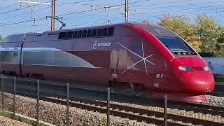 treinen in ruisbroek 25102024 train [upl. by Giah998]