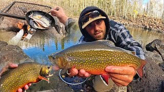 WILD TROUT Fishing at PRISTINE Mountain Lake Catch amp Cook [upl. by Oiromed]