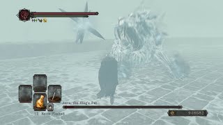 Dark Souls 2  Aava the Kings Pet NG No Damage Loyce Greatsword [upl. by Lorinda]